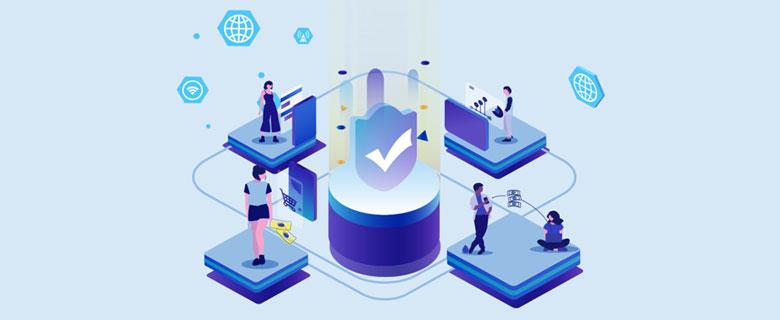 星锋网络SEO优化